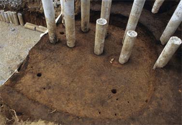 目黒不動遺跡第1次調査地点の弥生時代住居跡の写真