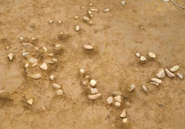 中目黒遺跡A地点出土の礫群の写真