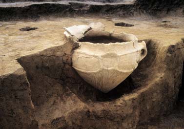 大橋遺跡第2次調査地点出土の住居跡の写真