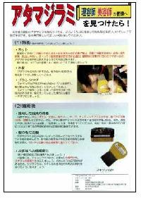 理容師、美容師のみなさまへ　アタマジラミを見つけたら