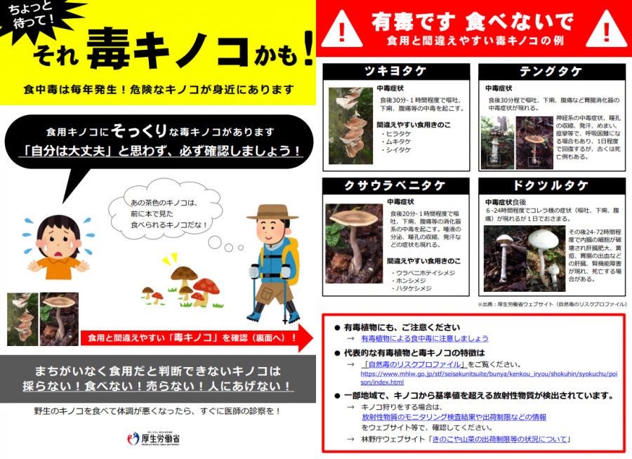 ちょっと待って!それ毒キノコかも!