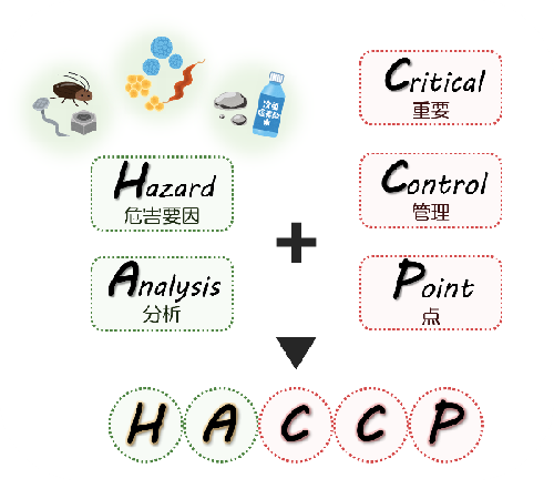 haccp