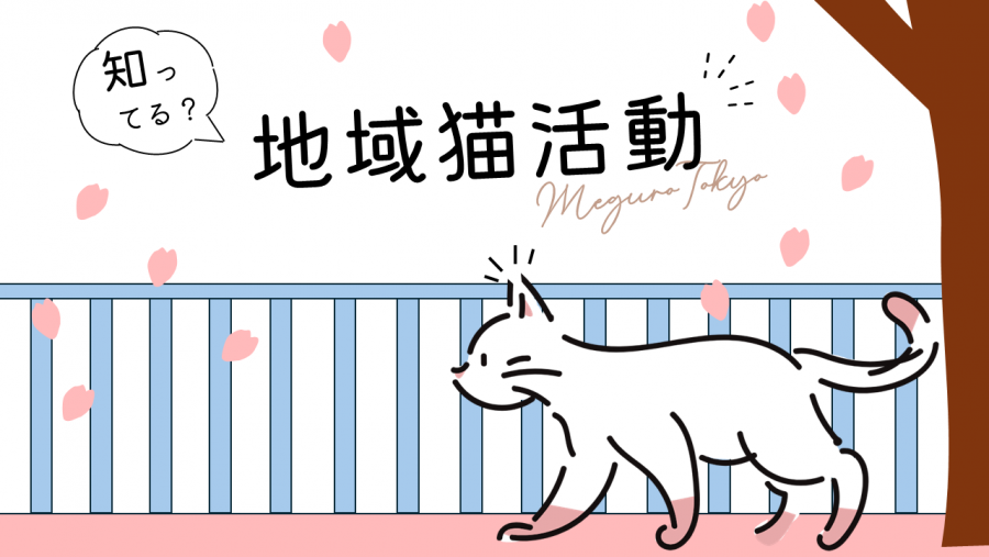 地域猫活動バナー2