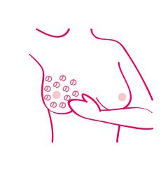 さわってチェックする画像