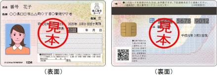 個人番号カード（案）