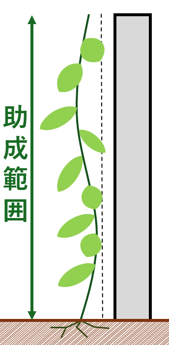 hekimennryokuka-tohann