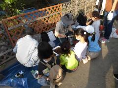 苗木ポットの様子1