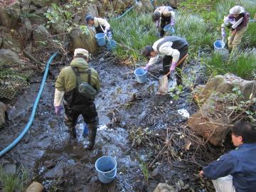 かいぼりの様子