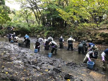 かいぼりの様子1