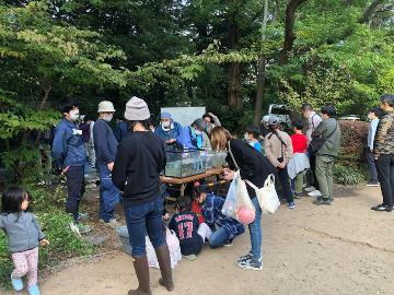 かいぼりの様子2