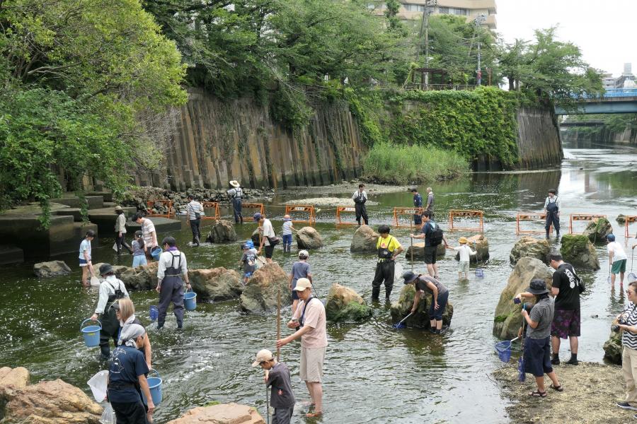 R7_ikimonohakkenntai-kawa1