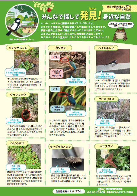 第77号サンプル画像