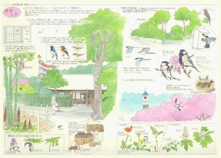 めぐろ季節のスケッチ（陽春）のイメージ画像