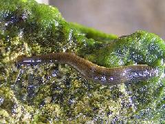 シマイシビルの写真