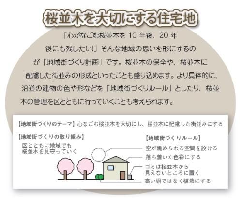 「心がなごむ桜並木を10年後、20年後にも残したい！」そんな地域の思いを形にするのが「地域街づくり計画」です。桜並木の保全や、桜並木に配慮した街並みの形成といったことも盛り込めます。より具体的に、沿道の建物の色や形などを「地域街づくりルール」としたり、桜並木の管理を区とともに行っていくことも考えられます。