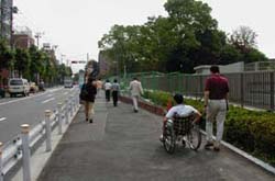 現地調査（1）の写真