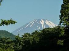 富士山の写真