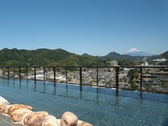 ニュー八景園の露天風呂の写真