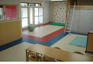 色によるエリア分けの写真