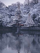 碑文谷公園の雪つりの写真