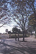 公園内の写真
