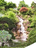西郷山公園の滝の写真