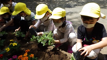 花を植える園児の写真