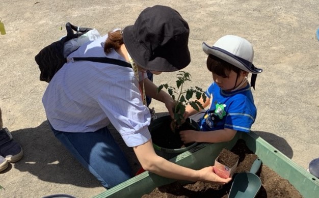 親子栽培「ミニトマトを植えよう」