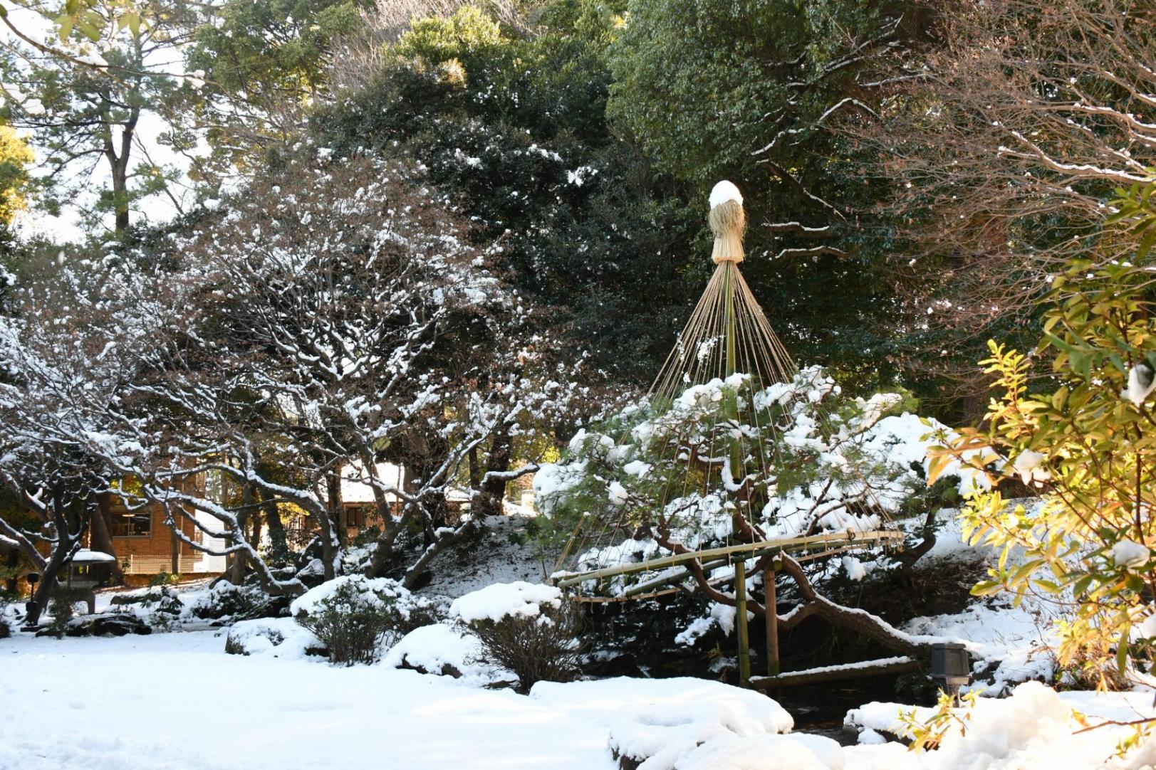 サムネイル（旧前田邸和館‗冬）