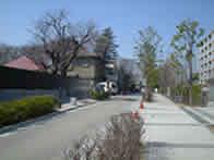 歩行者空間を充実させた道路沿いの住宅地の写真