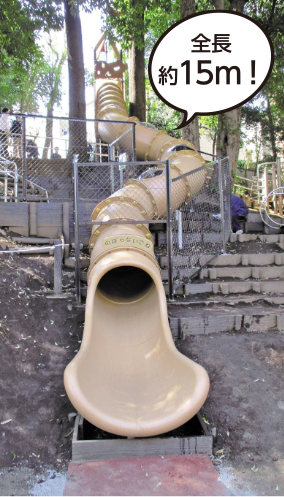 全長約15メートル!