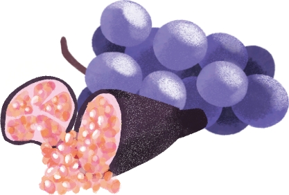 ぶどうとフィンガーライムのイラスト