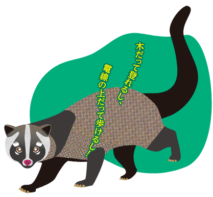 ハクビシンのイラストで、木だって登れるし、電線の上だって歩けるし!